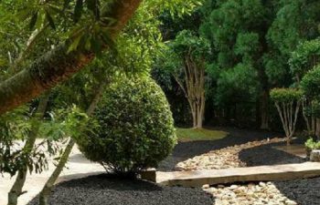 landscaped garden with French drainage