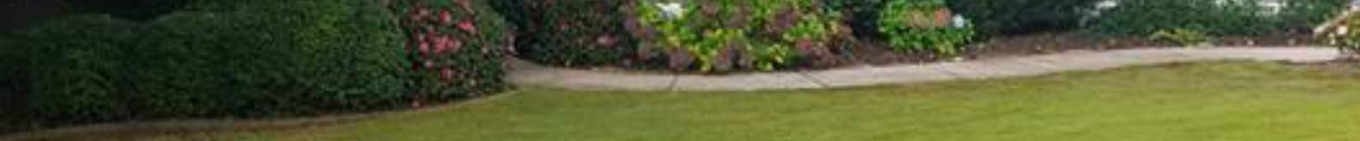 well-maintened lawn