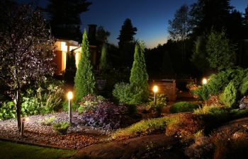 Landscape Lighting