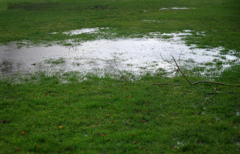 waterlogged-lawn-with-standing-water-in-a-large-puddle