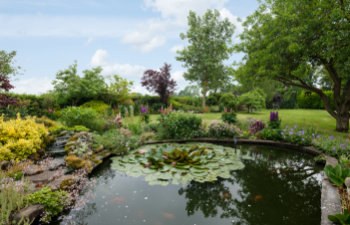 Beautiful water feature