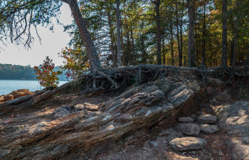 erosion at the shoreline caused by drought at lake lanier in georgia exposing the rocks and boulders