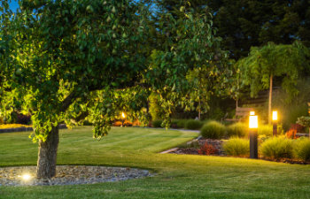 garden illuminated lamps