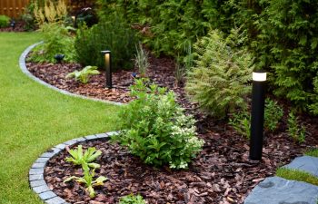 A Beautifully Landscaped Garden Featuring Striking LED Lights and Fresh Mulch Enhancements